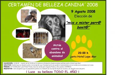 20080805141108-dibujo.jpg