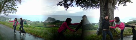 20081020153046-sec.jpg